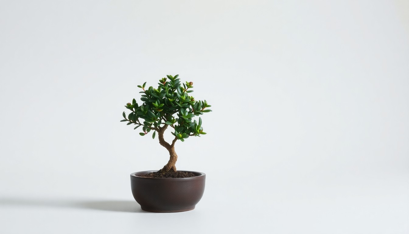小柄な体型でも存在感がある理由とは
